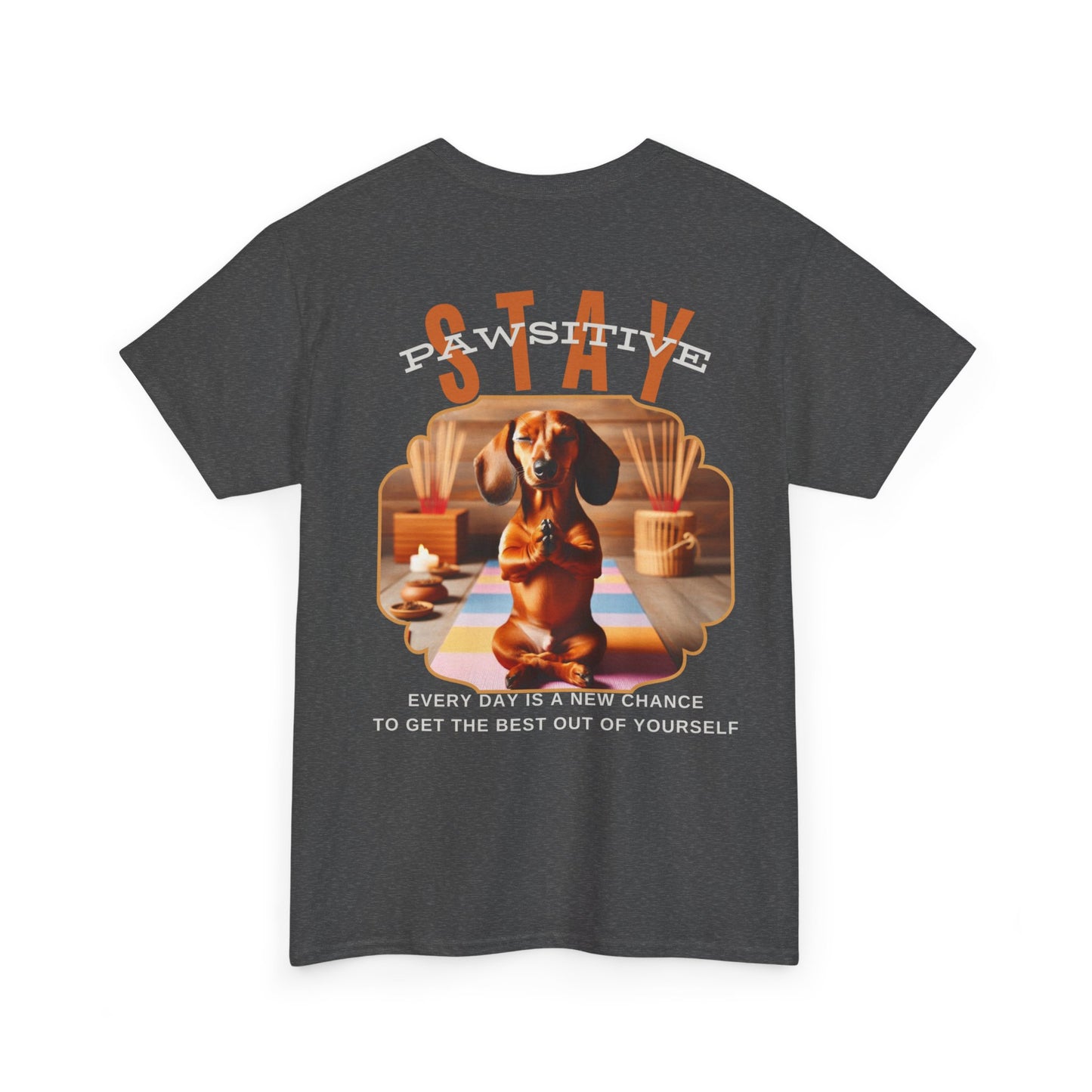 Shirt - "stay PAWsitiv"