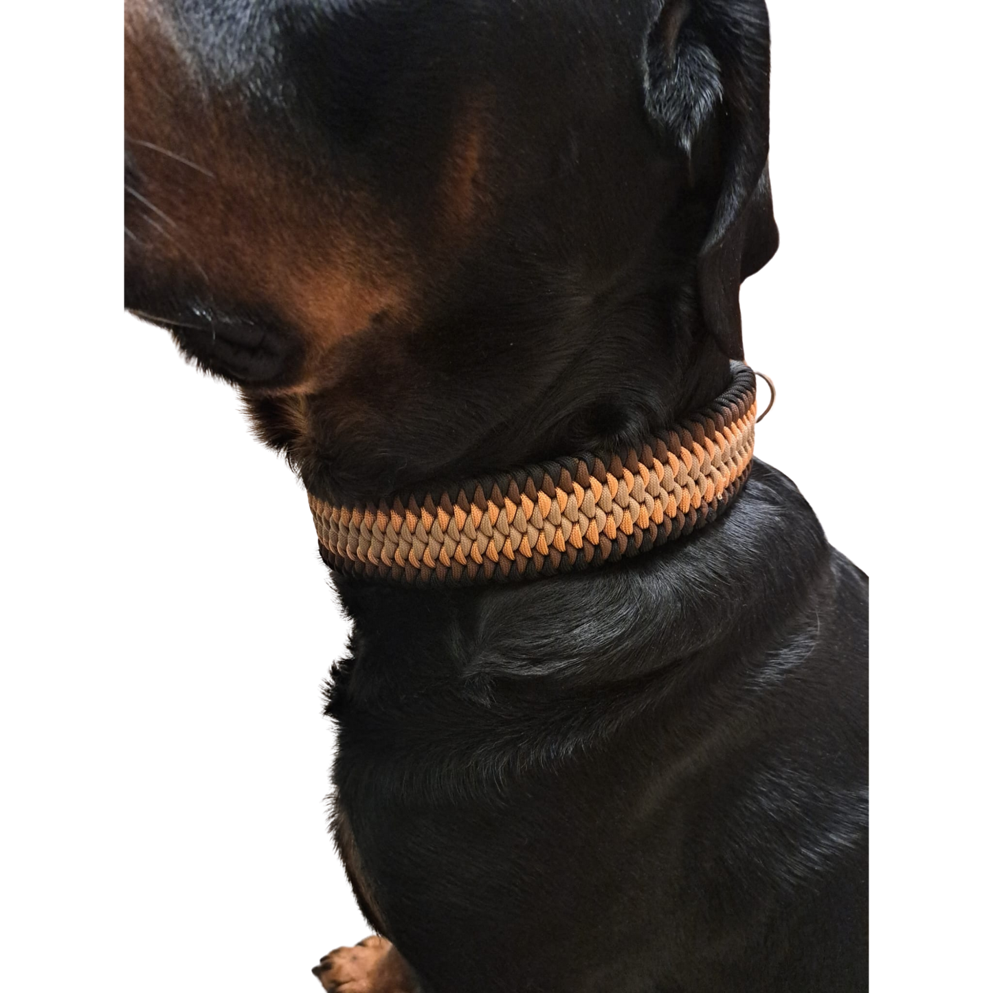 Halsband "Snake"