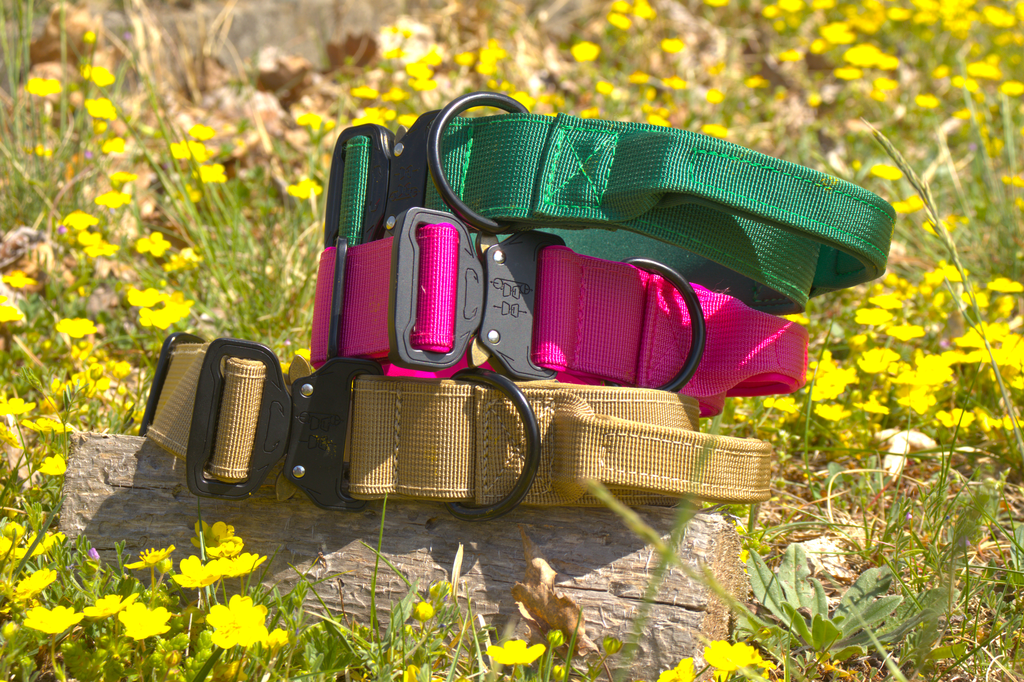 Halsband "Kobra" mit Handschlaufe