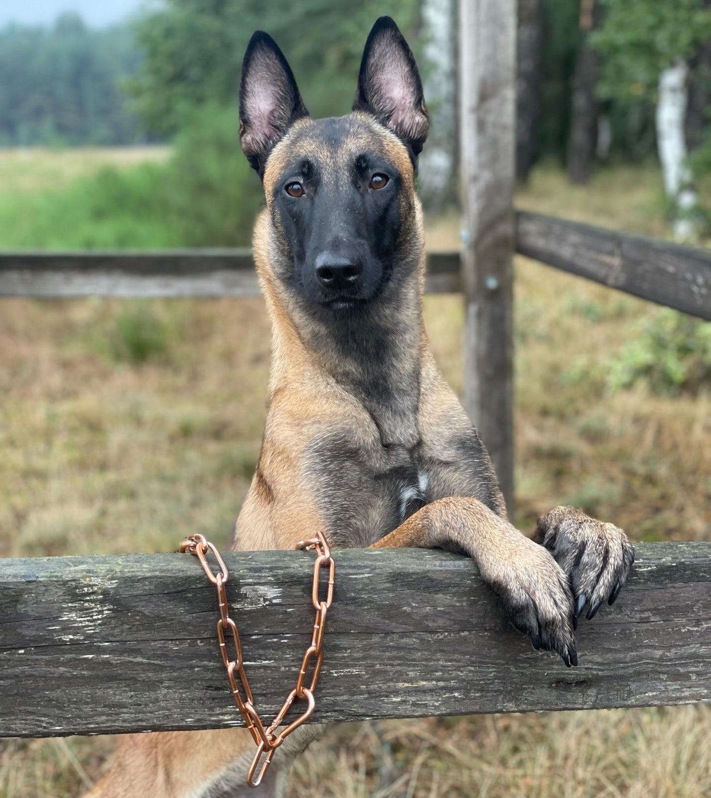 Kette , langgliedrig - bronze